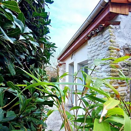 Studio, Aire De Loisirs Avec Piscine *